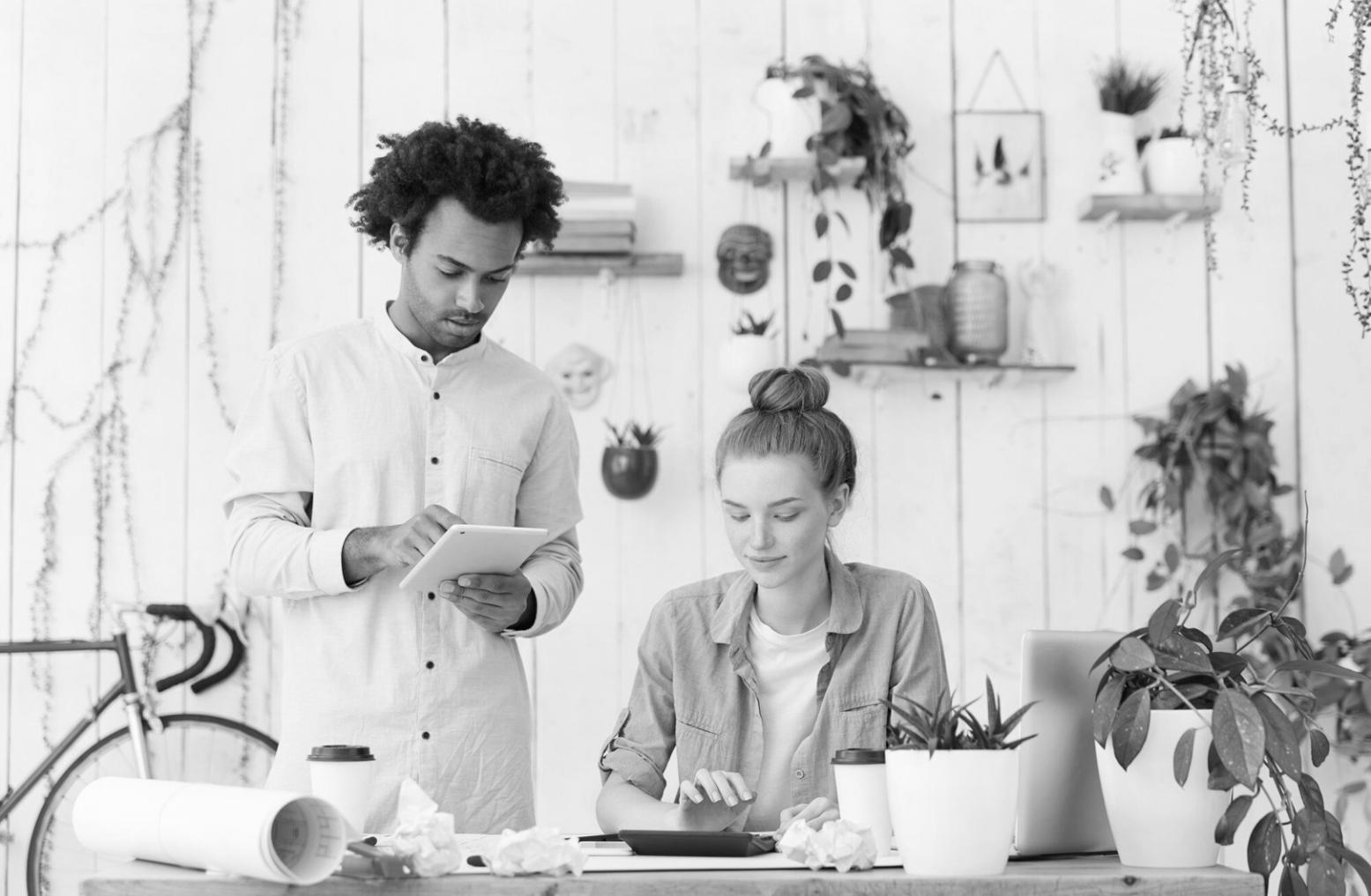 Professional consultation environment